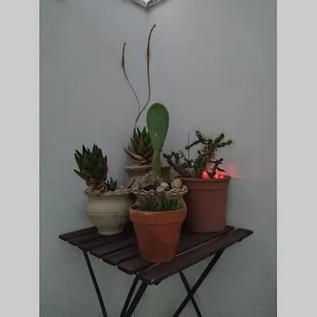 Terrazza A Scirocco Puglia Σπίτι διακοπών